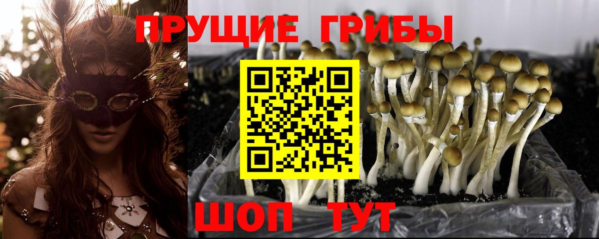 Галлюциногенные грибы ЛСД  Псилоцибиновые грибы Cubensis  купить   Вход с VPN  Обнинск 